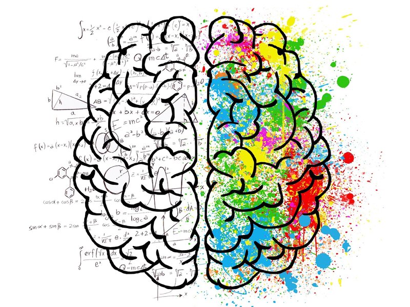 Cerebro racional y creativo Ecommerce basado en la psicología del cliente