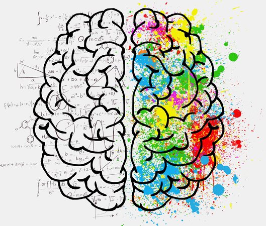 Cerebro racional y creativo Cerebro racional y creativo